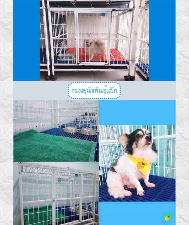 Mister Pet Animal Hospital 6
