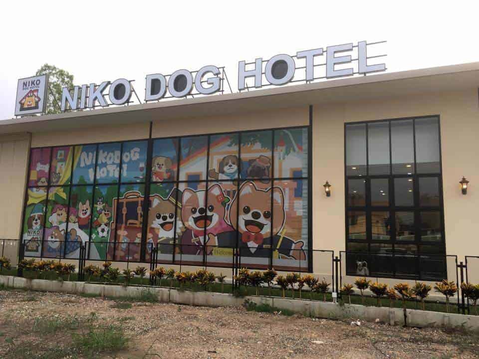 Niko Dog Hotel 5