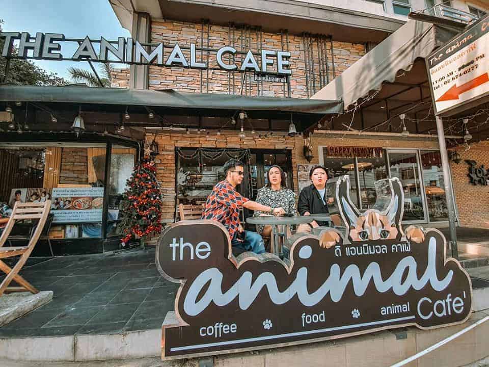 The Animal Cafe Restaurant 7