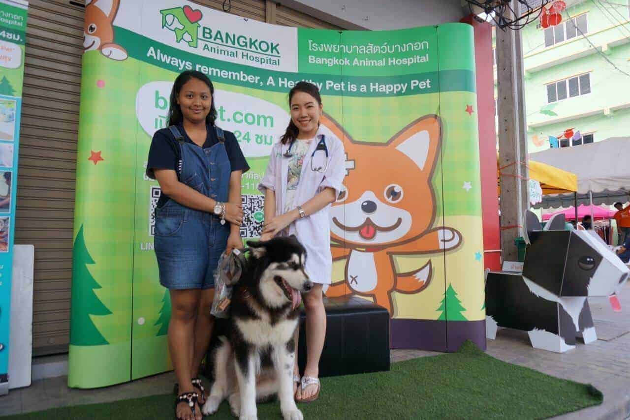โรงพยาบาลสัตว์บางกอก (ราชพฤกษ์) Bangkok Animal Hospital (Ratchapruek) 4