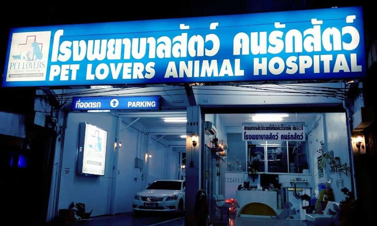 โรงพยาบาลสัตว์คนรักสัตว์ Pet Lovers Animal Hospital 1