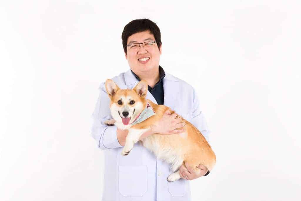 โรงพยาบาลสัตว์จุฬา (โรงพยาบาลสัตว์เล็กจุฬา) Small Animal Hospital Chulalongkorn University 6