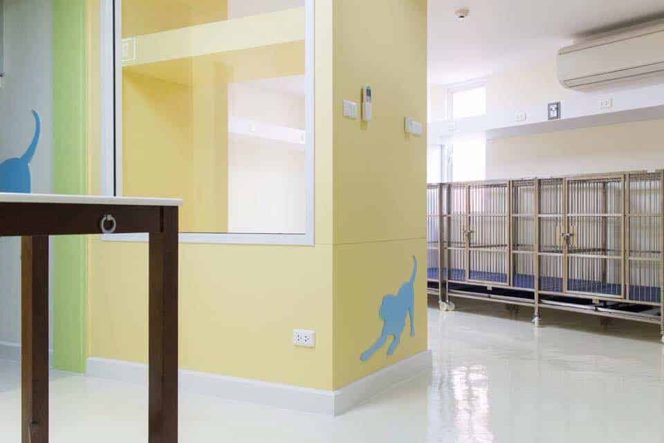 Sriwarakorat โรงพยาบาลสัตว์ศรีวรา (โคราช) 4