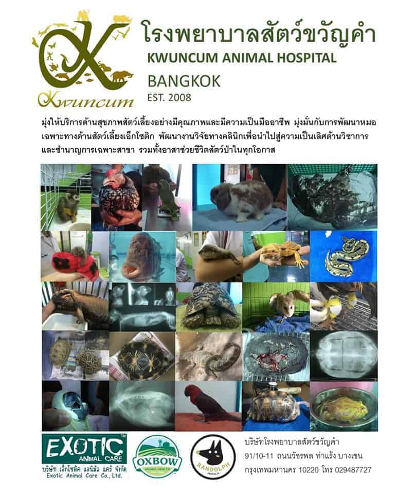 โรงพยาบาลสัตว์ขวัญคำ Kwuncum Veterinary Hospital 4