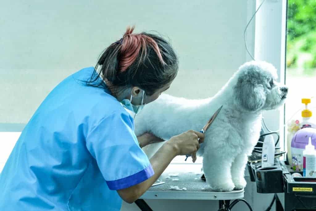 โรงพยาบาลสัตว์ทองหล่อ รังสิต Thonglor Pet Hospital Rangsit 1