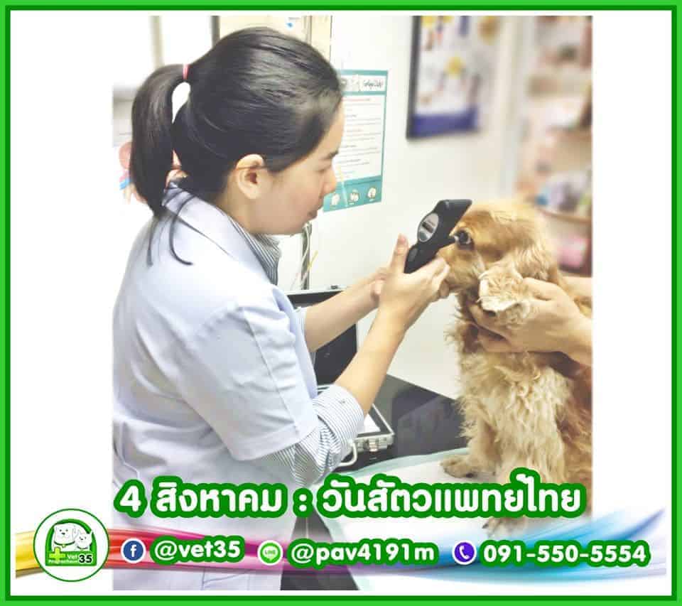 โรงพยาบาลสัตว์ประชาชื่น 35 Vet Prachacheun 35 2