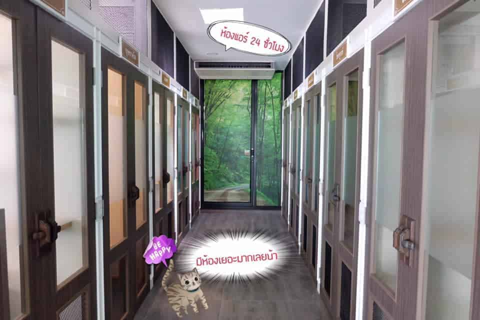 โรงพยาบาลสัตว์รัตนาธิเบศร์ (ราชพฤกษ์) RTB Referral Animal Hospital (Ratchapruek) 7