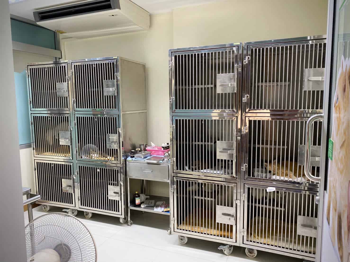 โรงพยาบาลสัตว์รัตนาธิเบศร์ (ภูเก็ต) RTB Referral Animal Hospital (Phuket) 3