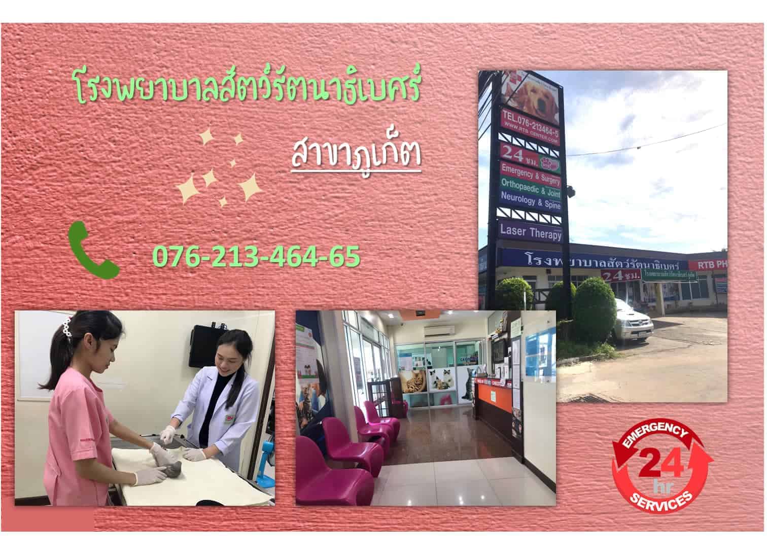 โรงพยาบาลสัตว์รัตนาธิเบศร์ (ภูเก็ต) RTB Referral Animal Hospital (Phuket) 2