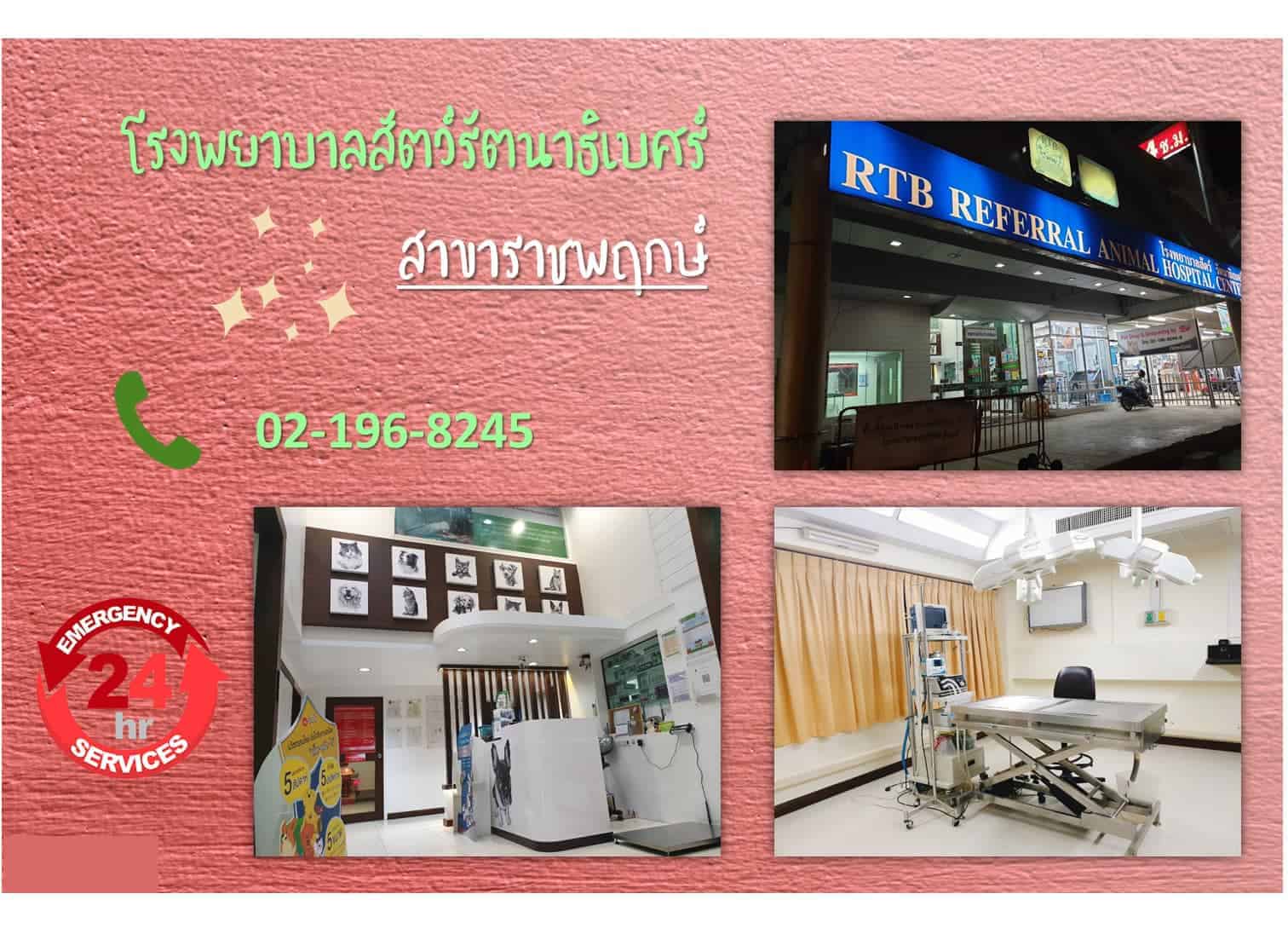 โรงพยาบาลสัตว์รัตนาธิเบศร์ (ราชพฤกษ์) RTB Referral Animal Hospital (Ratchapruek) 2