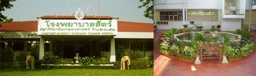 โรงพยาบาลสัตว์มหาวิทยาลัยเกษตรศาสตร์ กำแพงแสน Vet Ku Kps 2