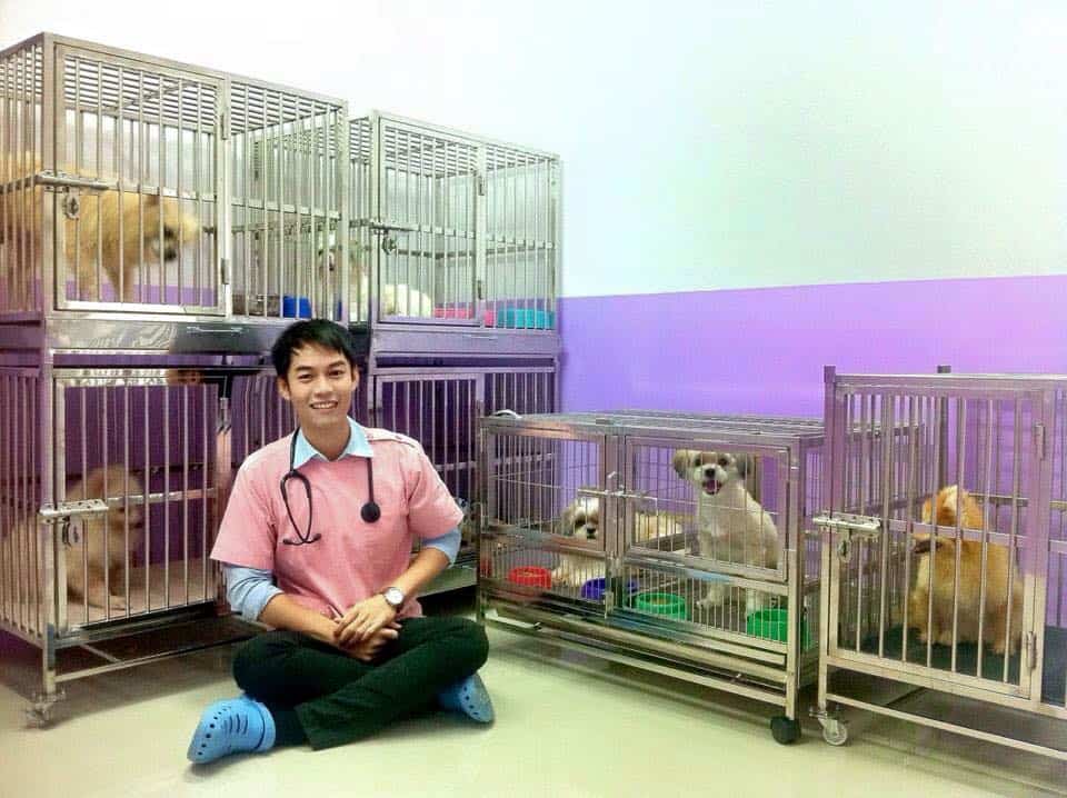 โรงพยาบาลสัตว์ปิยะเวช (PiyaVet Animal Hospital) 3