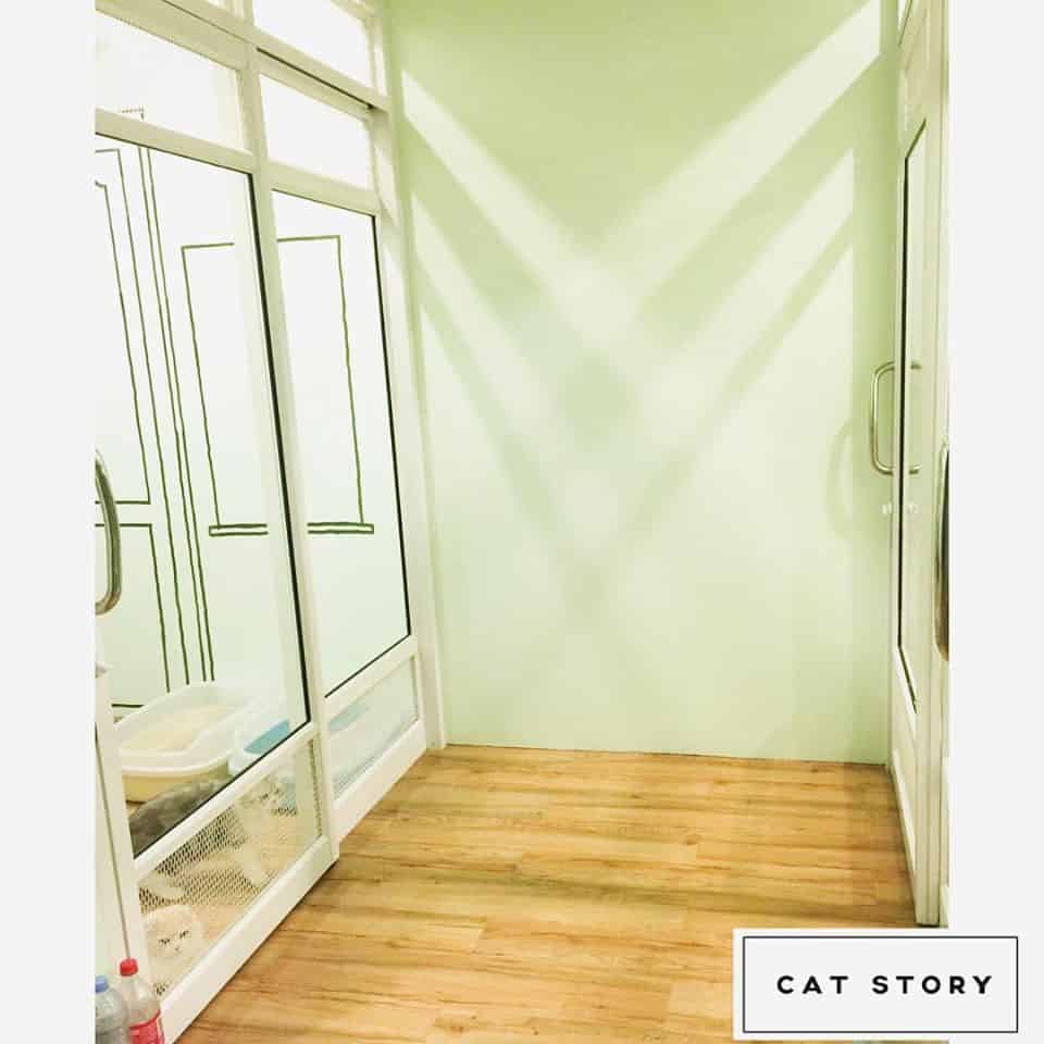CAT STORY (แคท สตอรี่) Cat Hotel 3