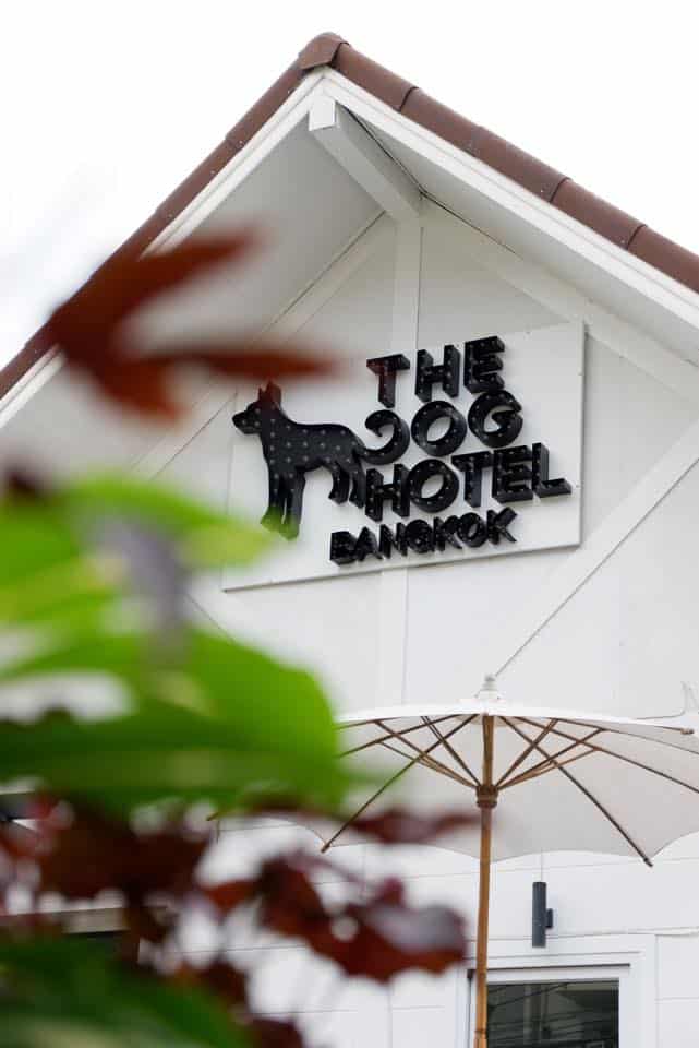 The Dog Hotel BKK (รัชดา) 7