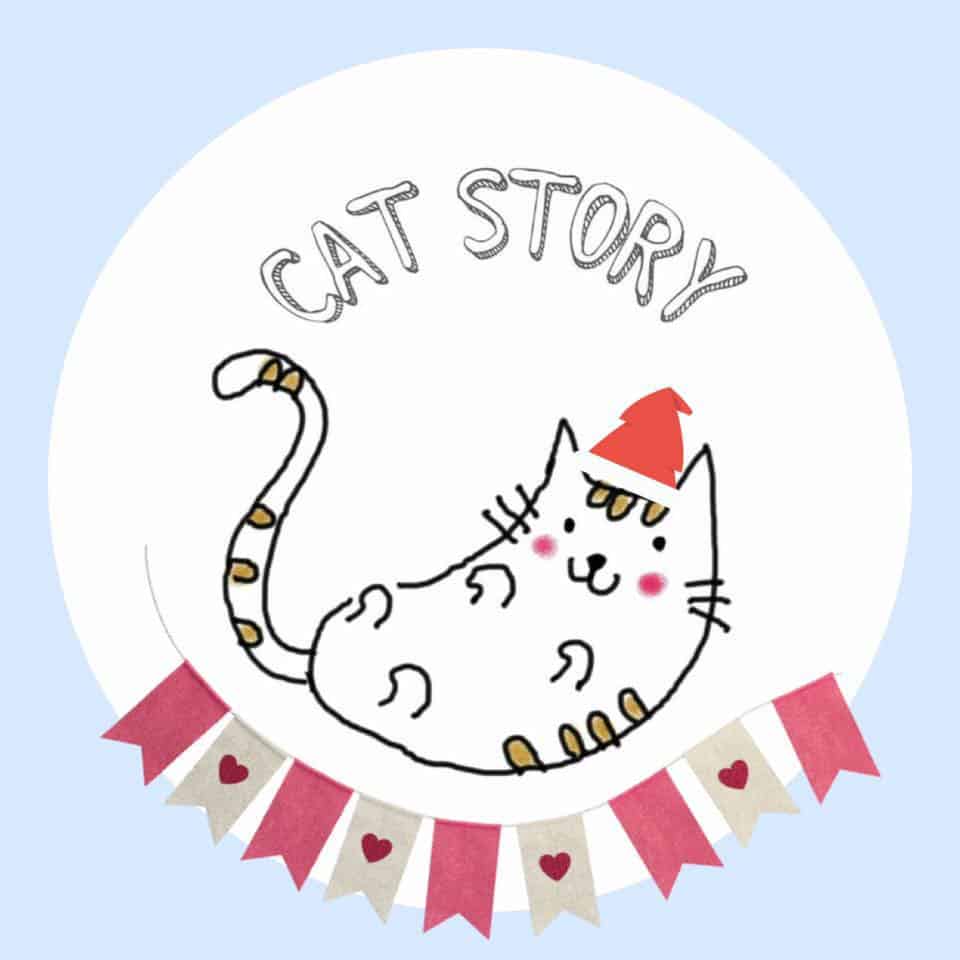 CAT STORY (แคท สตอรี่) Cat Hotel 4