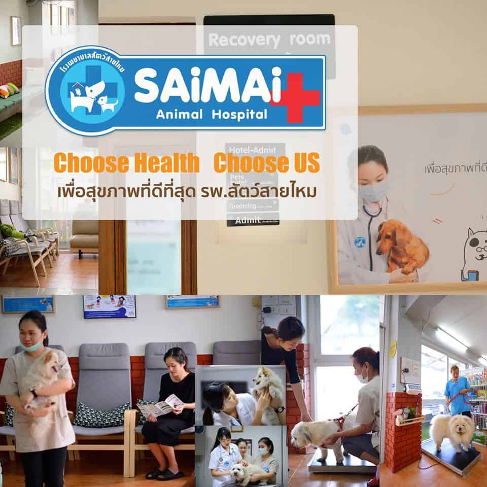 Saimai Animal Hospital (โรงพยาบาลสัตว์สายไหม) 2