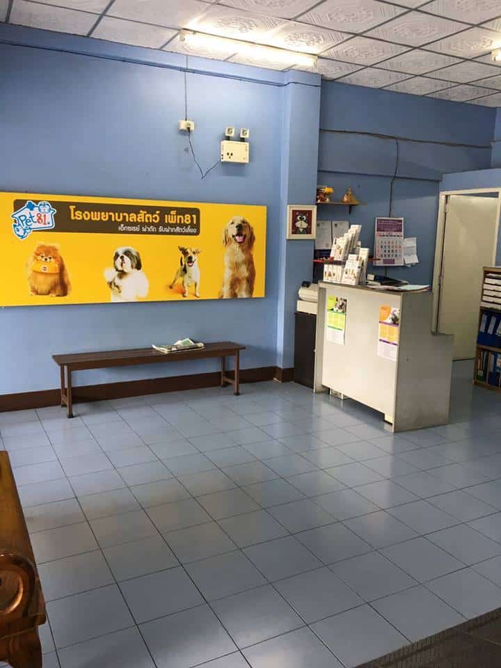 โรงพยาบาลสัตว์เพ็ท 81 Pet 81 Pet Hospital 2