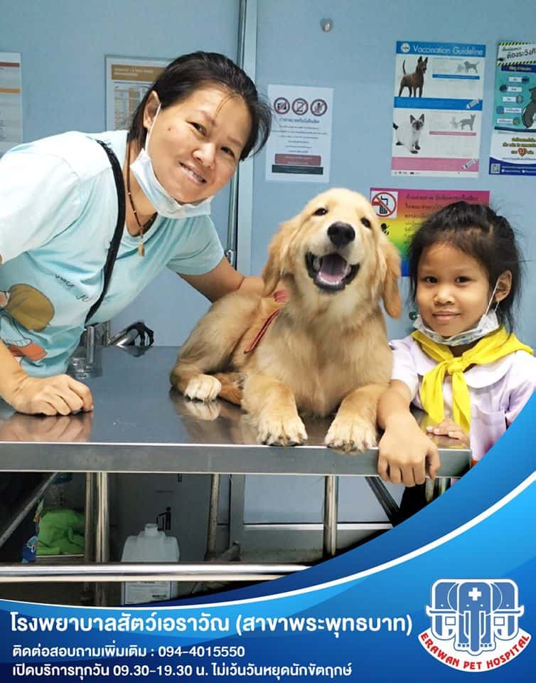Erawan Pet Hospital (โรงพยาบาลสัตว์เอราวัณ ศูนย์พระพุทธบาท) 6
