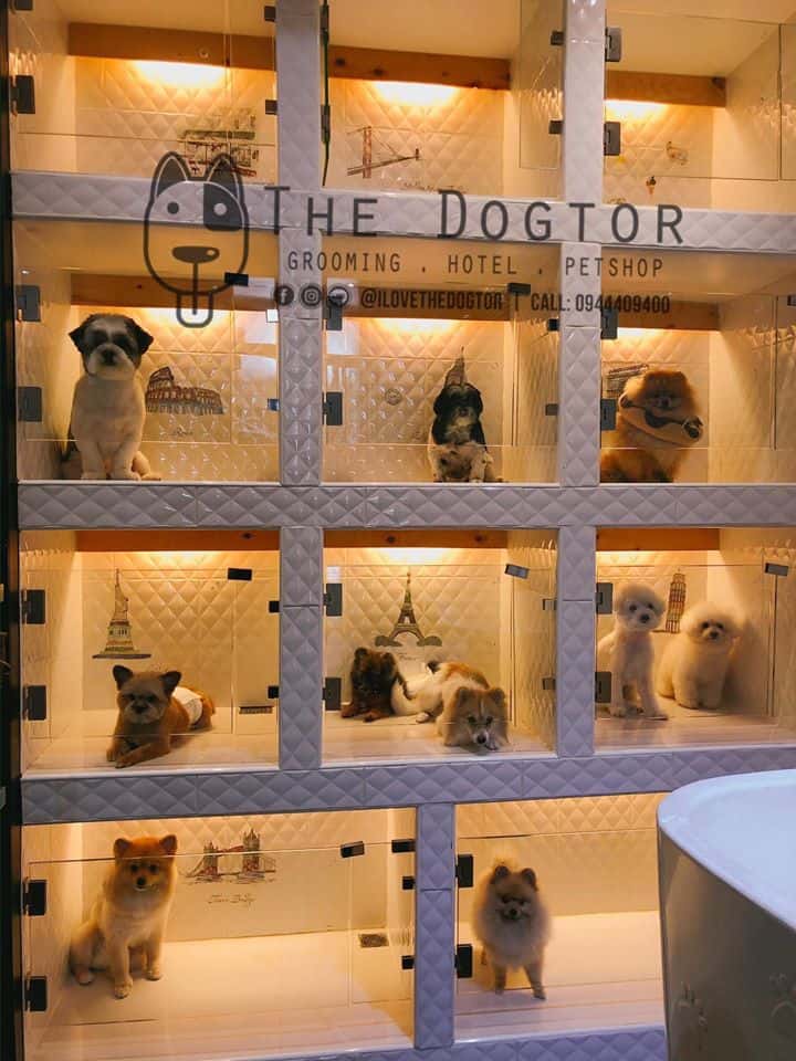 The Dogtor (เดอะ ด็อกเตอร์) Grooming+Dog Hotel+Pet shop 9