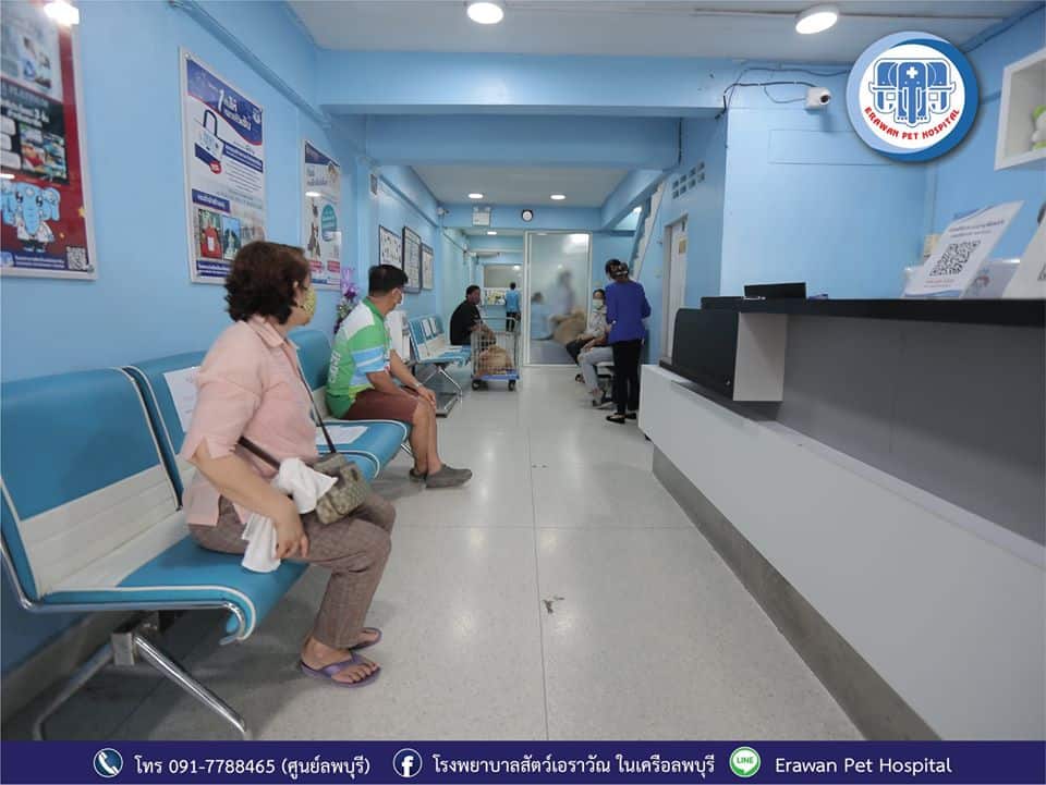 Erawan Pets Hospital (โรงพยาบาลสัตว์เอราวัณ ศูนย์ลพบุรี) 9