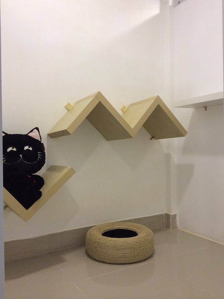 โรงแรมแมว Casa de Cat : หัวลำโพง 2