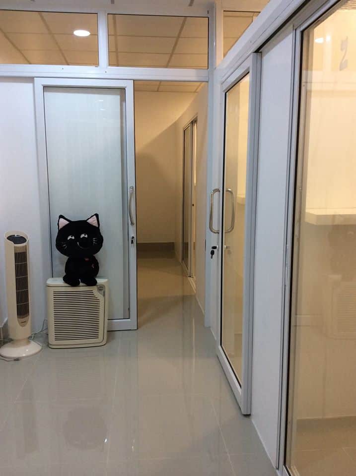โรงแรมแมว Casa de Cat : หัวลำโพง 6