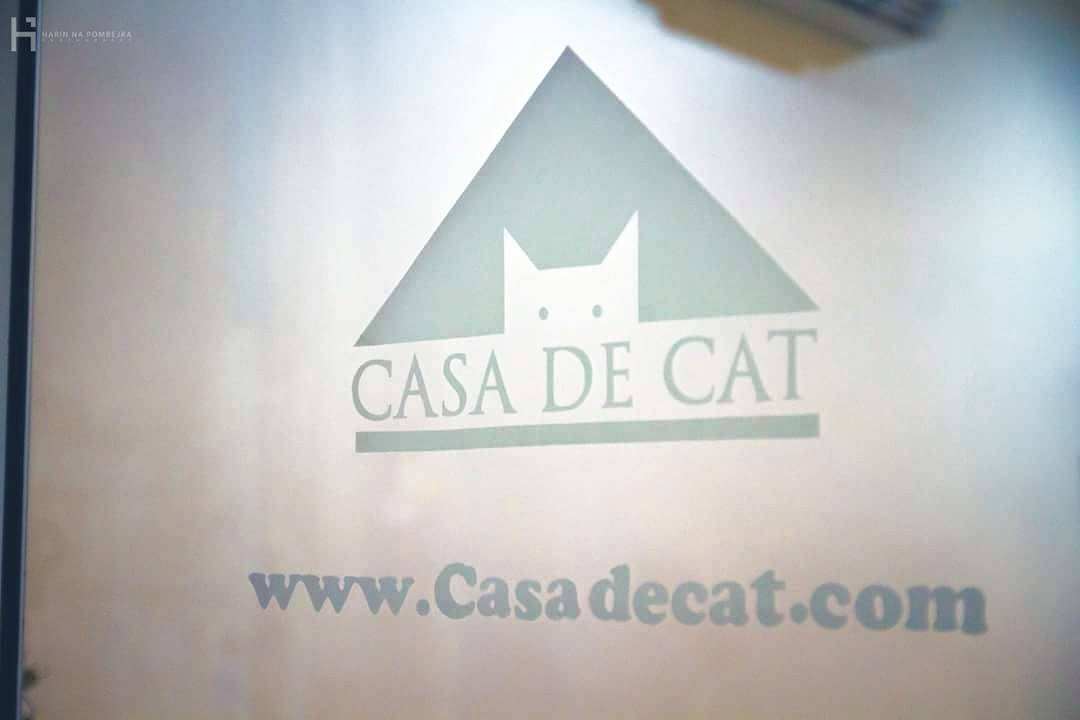 โรงแรมแมว Casa de Cat : หัวลำโพง 1