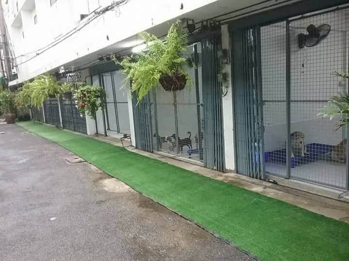 โรงแรมสุนัขและแมวบ้านเพราะรัก 1