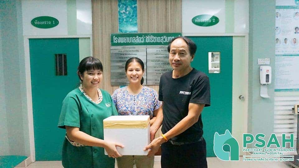 Parichart Suwinthawong Animal Hospital (โรงพยาบาลสัตว์ปาริชาต สุวินทวงศ์) 4