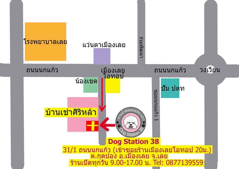 Dog Station 38 (ร้านอาบน้ำตัดขนสุนัข) 1