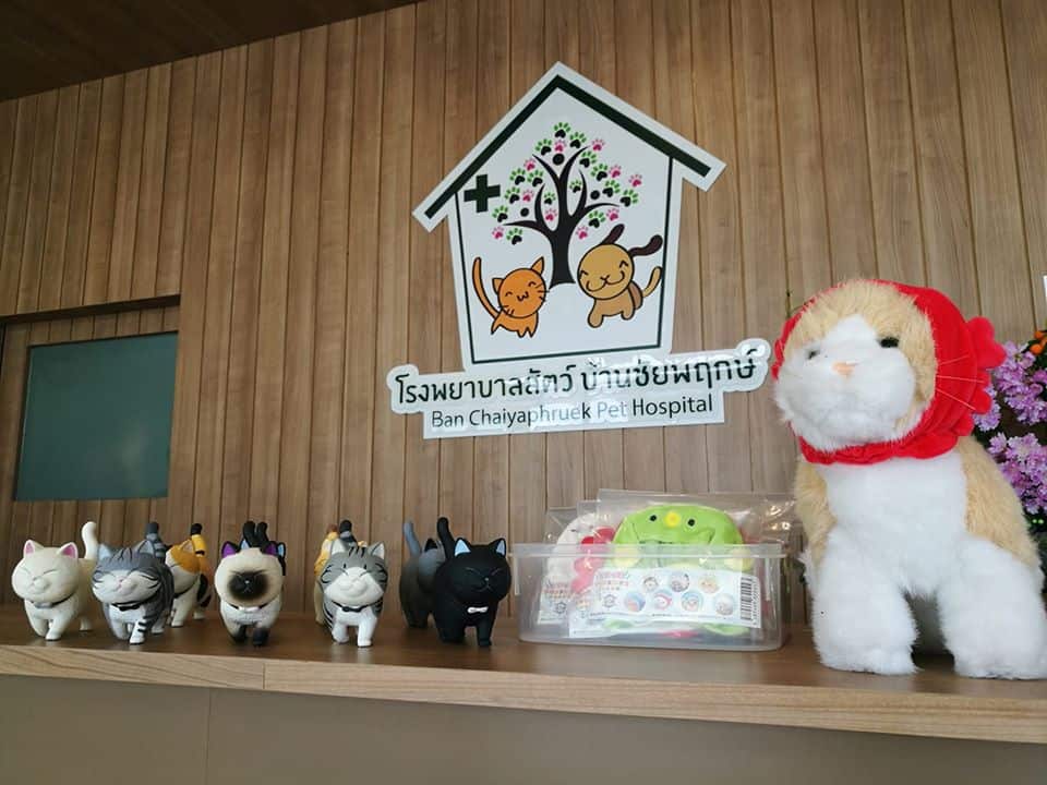 โรงพยาบาลสัตว์บ้านชัยพฤกษ์ Ban Chaiyaphruek Pet hospital 3