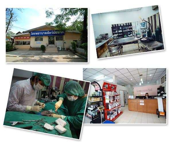 โรงพยาบาลสัตว์มัยลาภ (Animal Hospital Maiyalap) 2