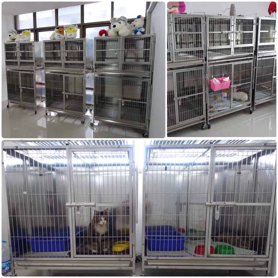 Huaikhwang Pet Hospital (โรงพยาบาลสัตว์ห้วยขวาง) 4