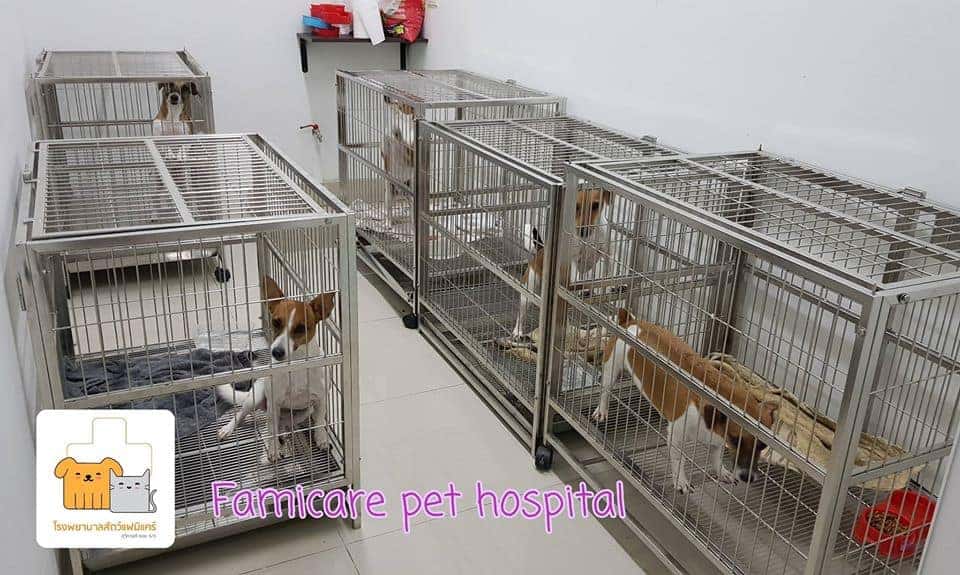 Famicare Pet Hospital (โรงพยาบาลสัตว์ แฟมิแคร์) 5