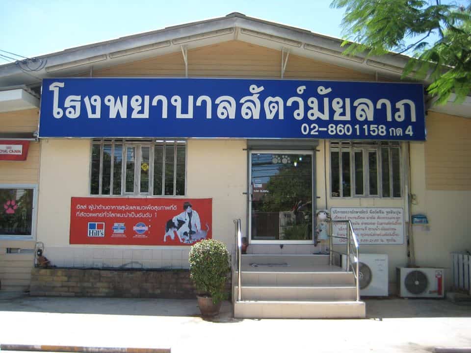 โรงพยาบาลสัตว์มัยลาภ (Animal Hospital Maiyalap) 4
