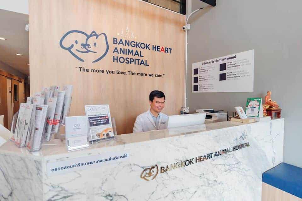 โรงพยาบาลสัตว์บางกอกฮาร์ท Bangkok Heart Animal Hospital 1