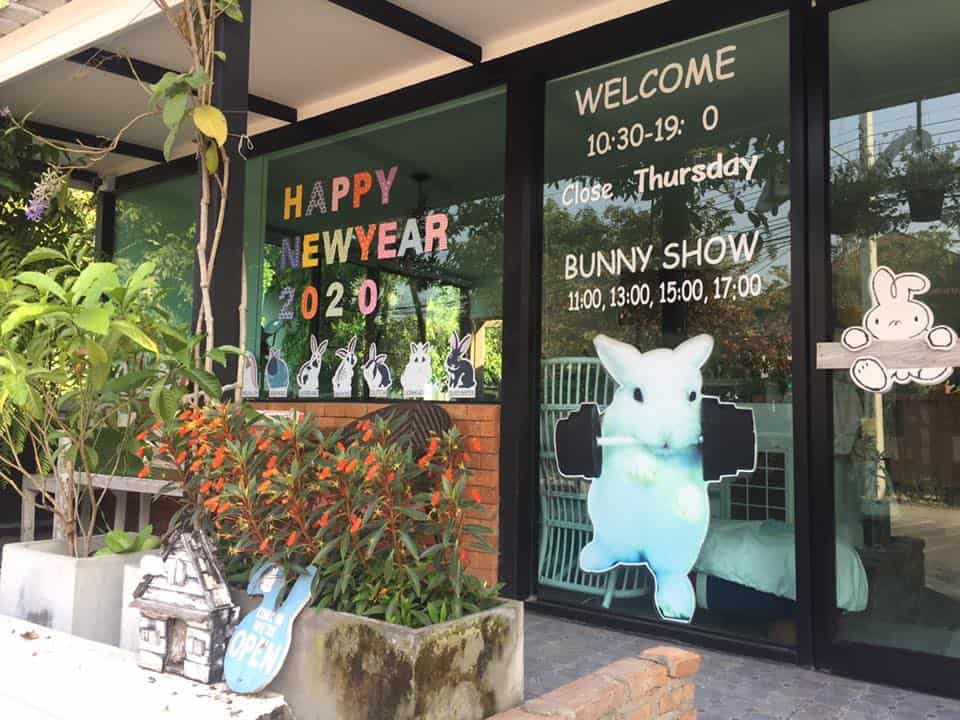 Pinny House by Lucky Bunny Cafe (เชียงใหม่) 9