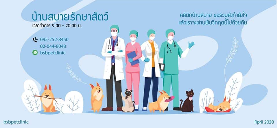 Baan Sa Bai Clinic & Pet Shop (บ้านสบาย รักษาสัตว์) รีวิว | Petmap.Co  ค้นหาร้านและที่เที่ยวสุนัขเข้าได้​