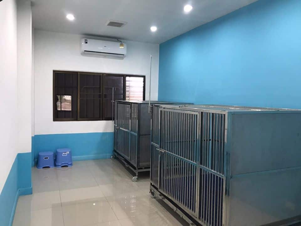 Rangsitanon Animal Hospital (โรงพยาบาลสัตว์รังสิตานนท์) 5