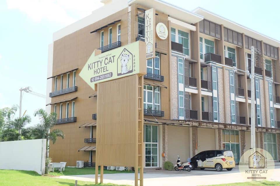 Kitty Cat Hotel (โรงแรมแมว คิตตี้แคท) 4