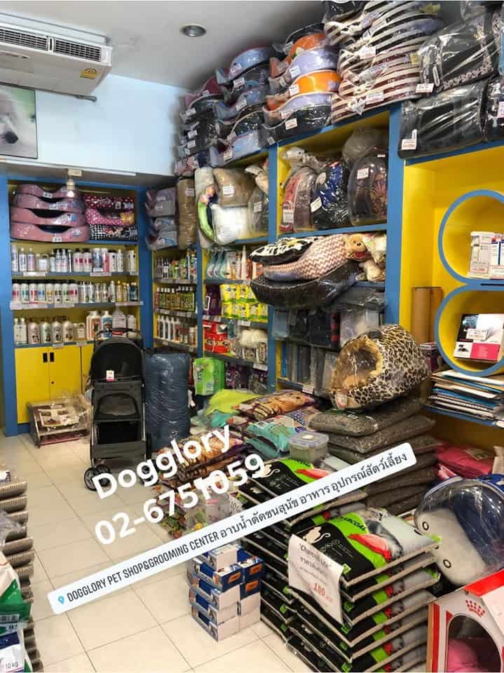 DogGlory Pet Shop & Grooming Center (ถนนจันทร์) 3