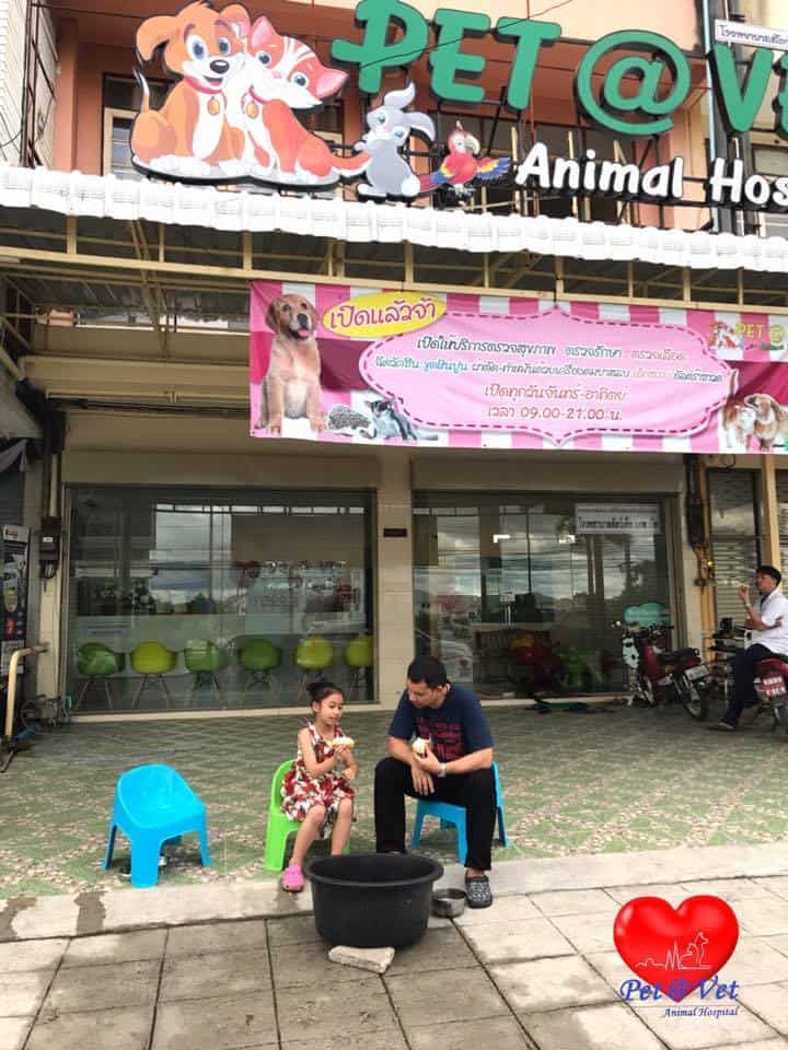 Pet at Vet Animal Hospital (โรงพยาบาลสัตว์เพ็ทแอทเว็ทระยอง) 1