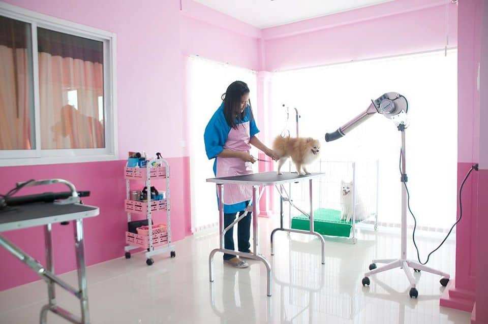 Ban Dr.Ton Pet Hospital (โรงพยาบาลสัตว์บ้านหมอต้น) 2