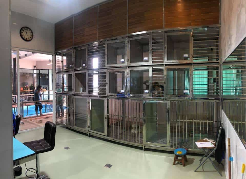 Ban Dr.Ton Pet Hospital (โรงพยาบาลสัตว์บ้านหมอต้น) 9