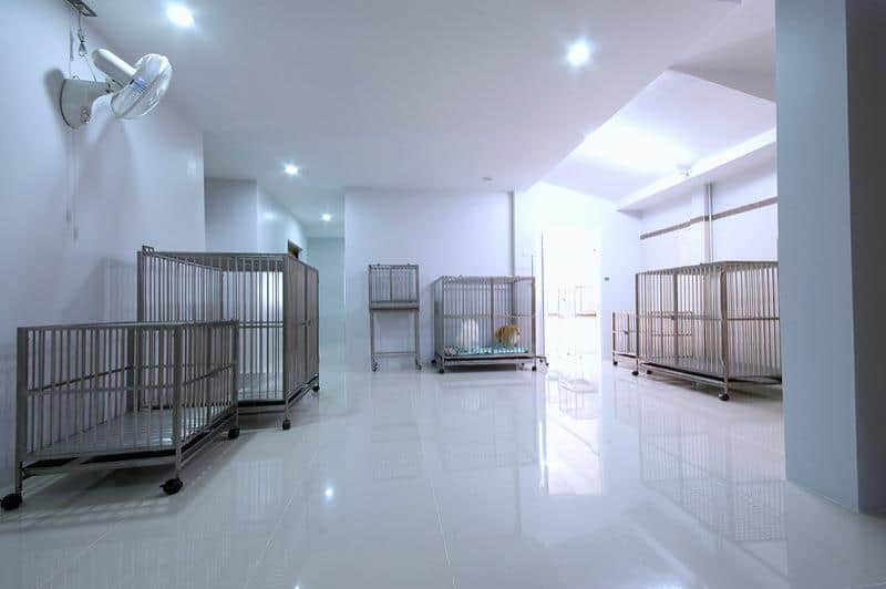 Ban Dr.Ton Pet Hospital (โรงพยาบาลสัตว์บ้านหมอต้น) 8
