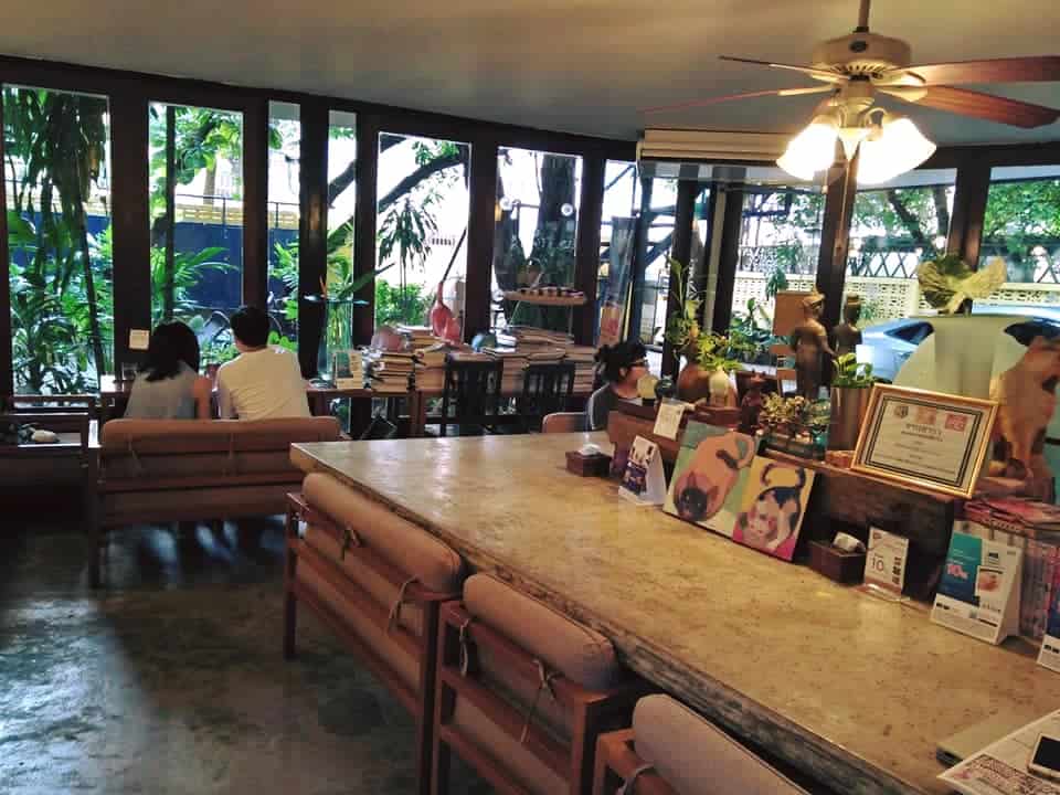 Chico Design Bangkok (Cat Cafe) 6