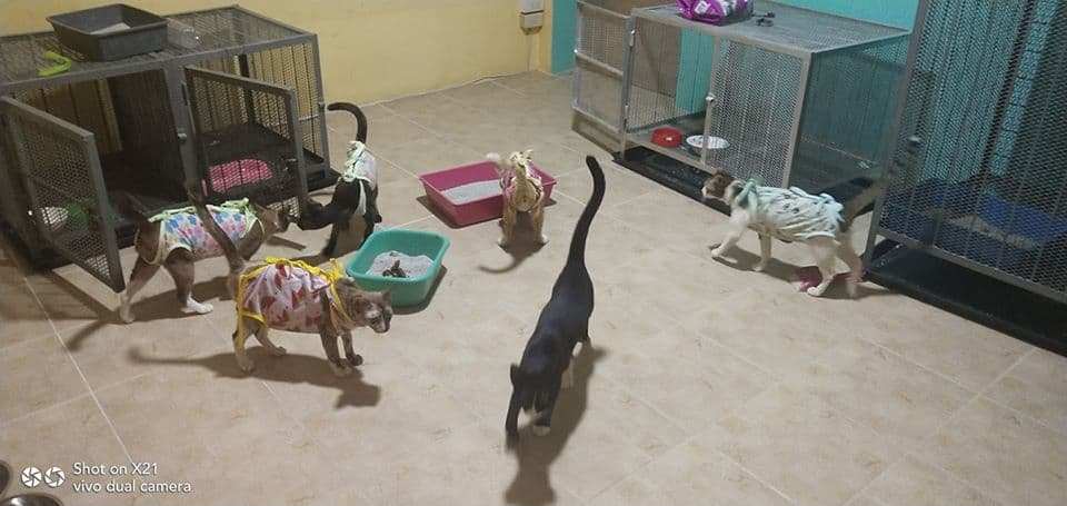 ศิริรักษาสัตว์ Sirirak Pet Clinic 5