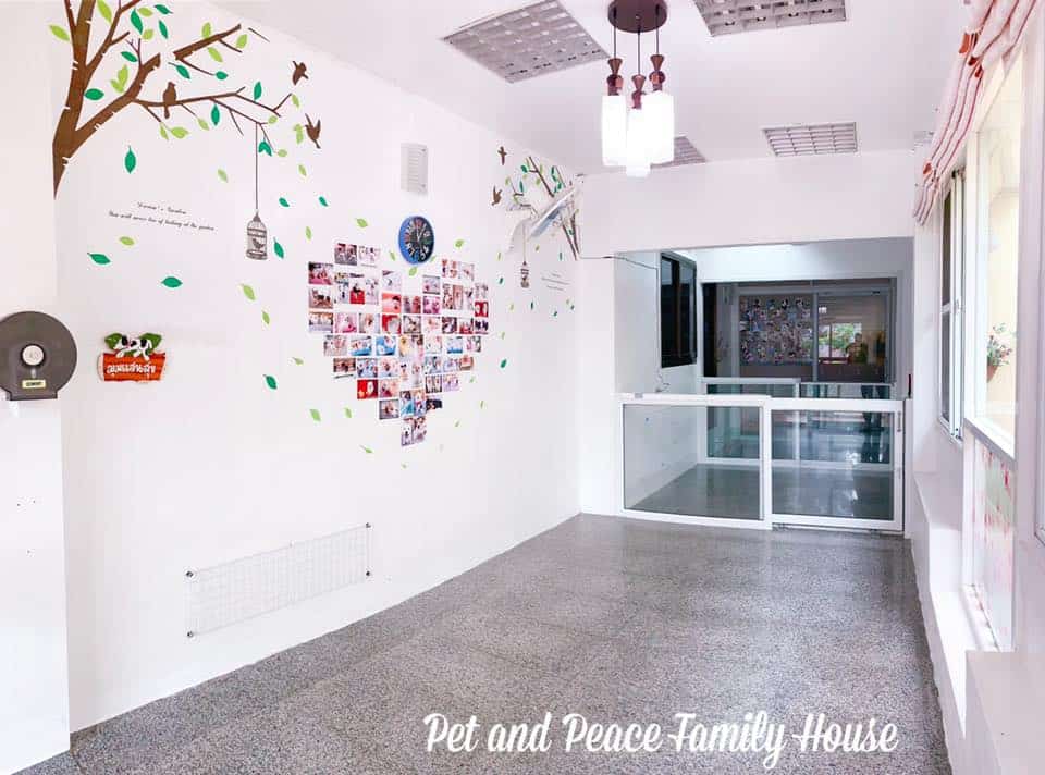 Pet and Peace Family House (ตลิ่งชัน) 5