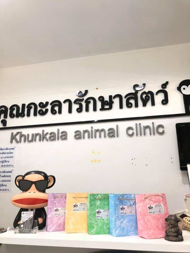 Khunkala Animal Clinic (คุณกะลารักษาสัตว์) 4