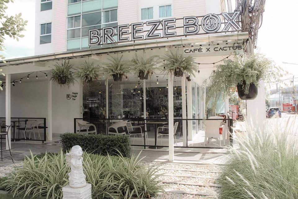 Breeze Box Cafe & Cactus บรีซ บ็อกซ์ คาเฟ่ 4